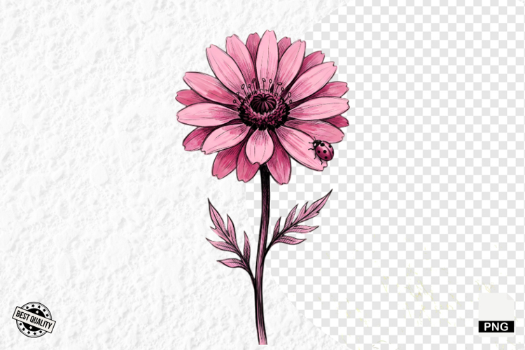 Lady Bug Clipart Image 21