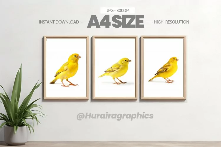 Bird Wall Art - 03 Variations