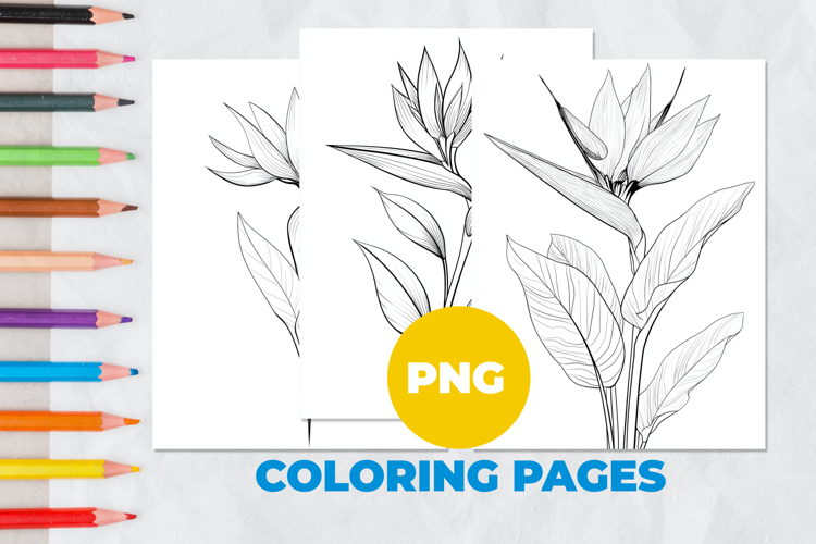 Tropical flower Coloring Pages | Coloring book