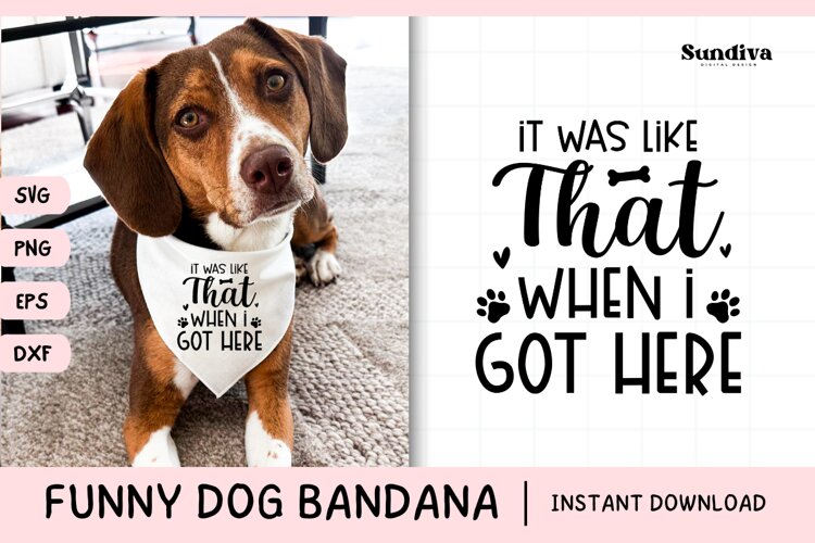 Funny Dog Bandana Quotes SVG | It Was Like That