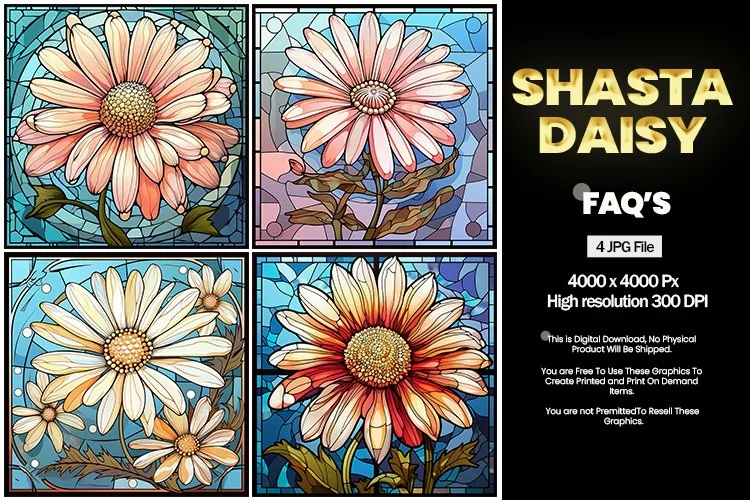 Stained Glass Shasta Daisy Square Coaster - 04 Variations