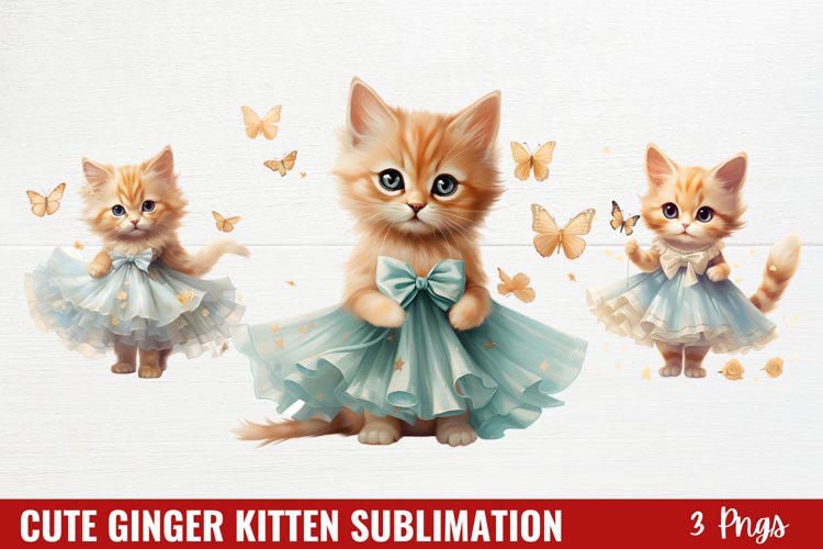 Kitten Png Image 12