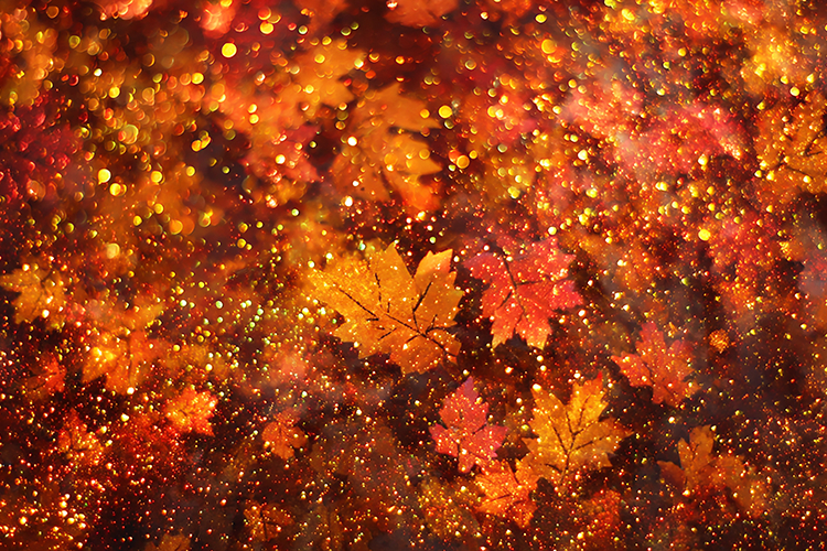 Autumn leaves with golden sparkles on a warm sunny day