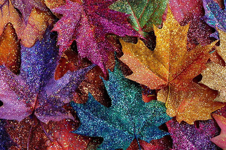 Glittery autumn leaves in various shades and textures.