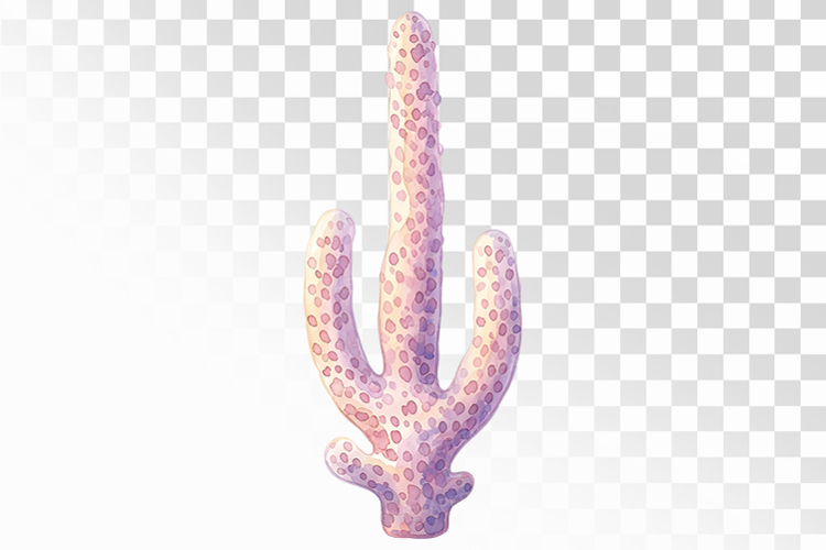 Coral Clipart Image 10