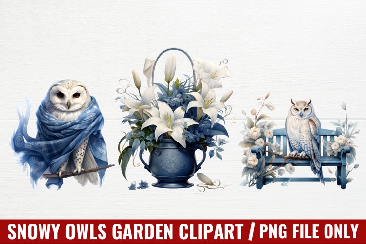 Owl Clipart Image 15