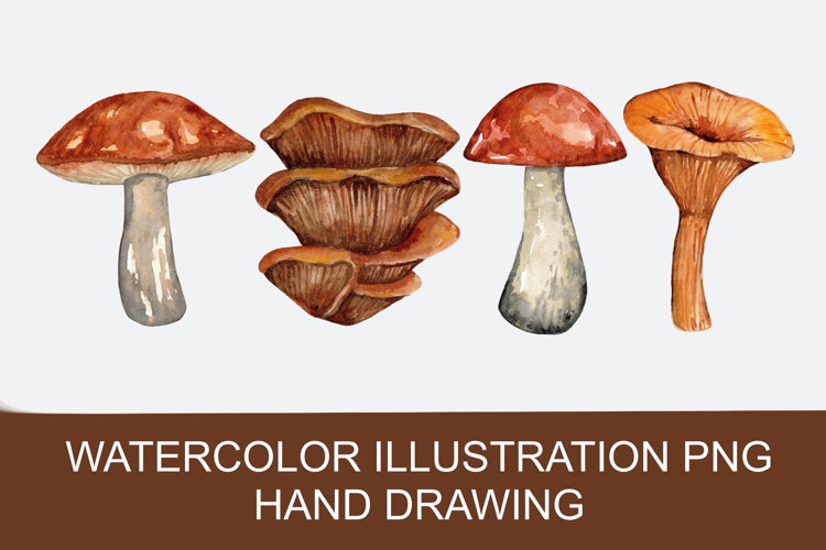 Watercolor autumn mushrooms PNG clipart, hand-drawn