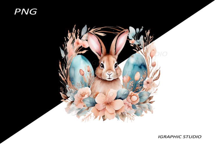 Egg Png Image 21