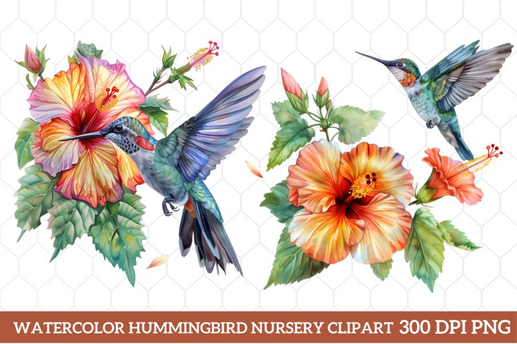 Hummingbird Clipart Image 18