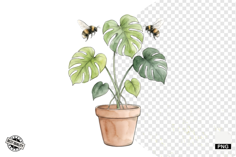 Birds Png Image 15