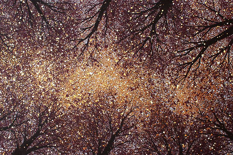 Cherry blossom trees with sunlight shining