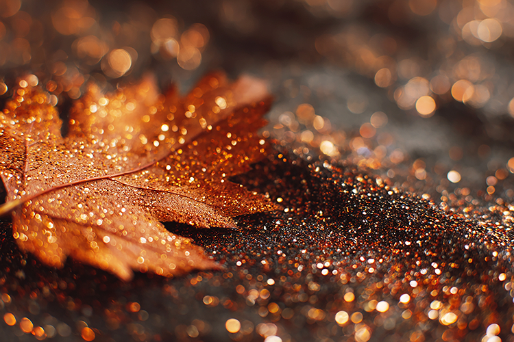Golden brown leaf covered in dew drops on glittering surface