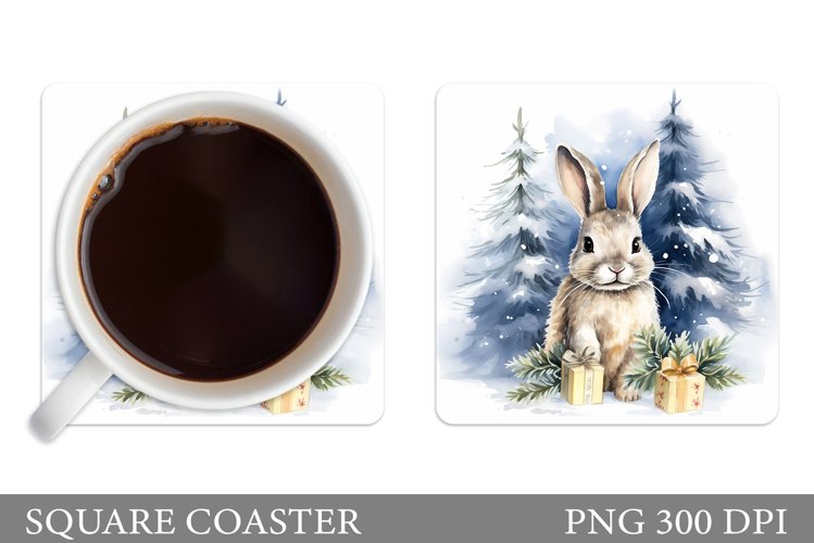 Bunny Clipart Image 16