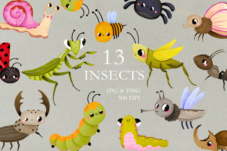 Cute Bugs Clipart, Hand Drawn Baby Insects Graphics