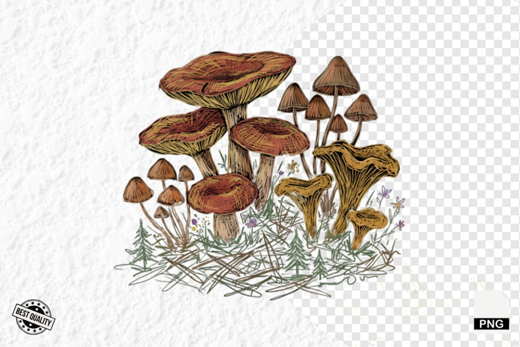 Summer Clipart Image 5