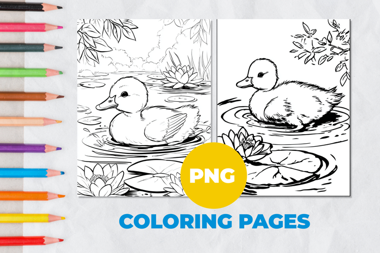 Duckling in the pondColoring Pages | Coloring book