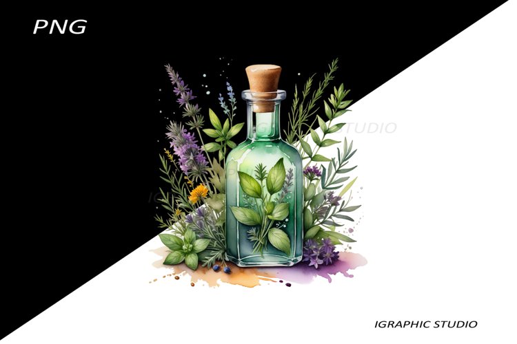 Watercolor bottle and herbs clipart