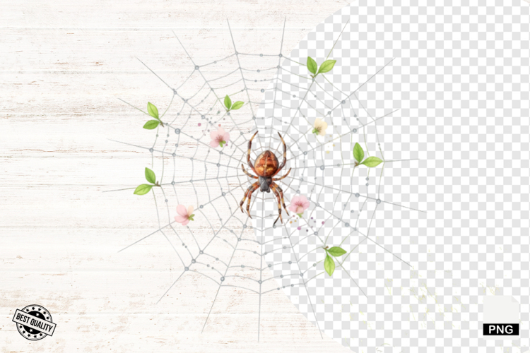 Spider Clipart Image 22
