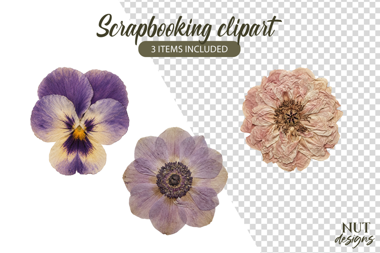 Pressed Flowers Clipart Peony Pansy anemone Scrapbooking