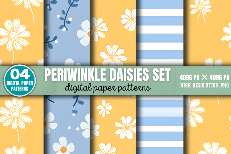 Daisies Png Image 23