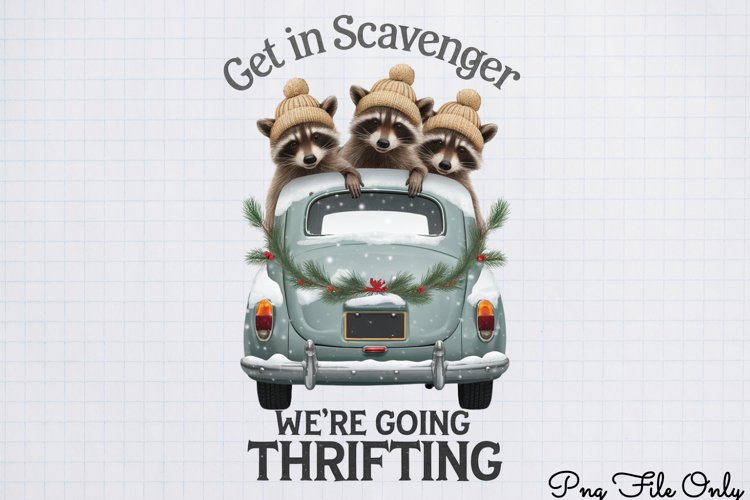 Raccoon Png Image 3