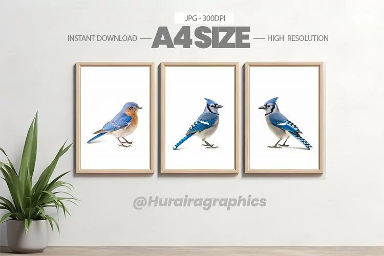 Bird Wall Art - 03 Variations