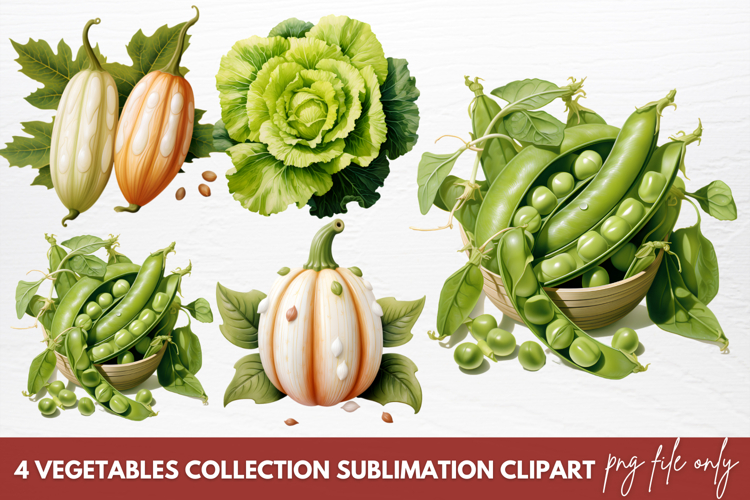 Vegetables PNG Image 3