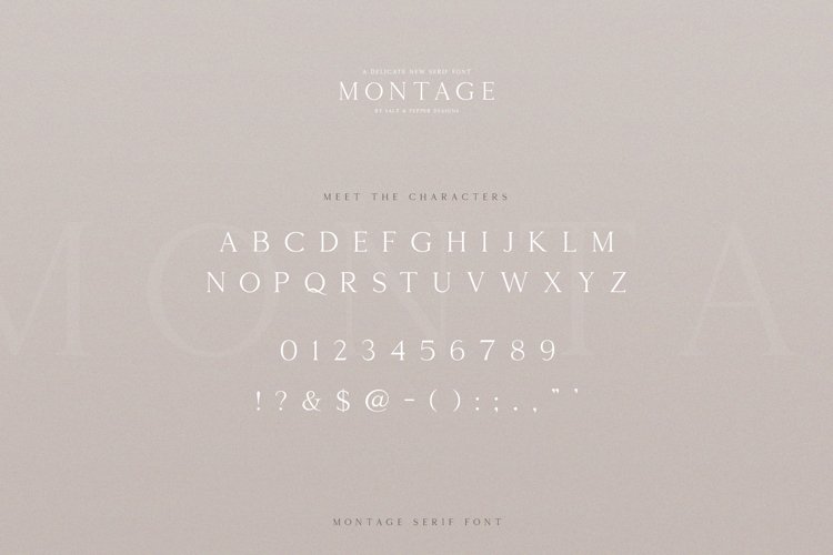 Montage Serif Font