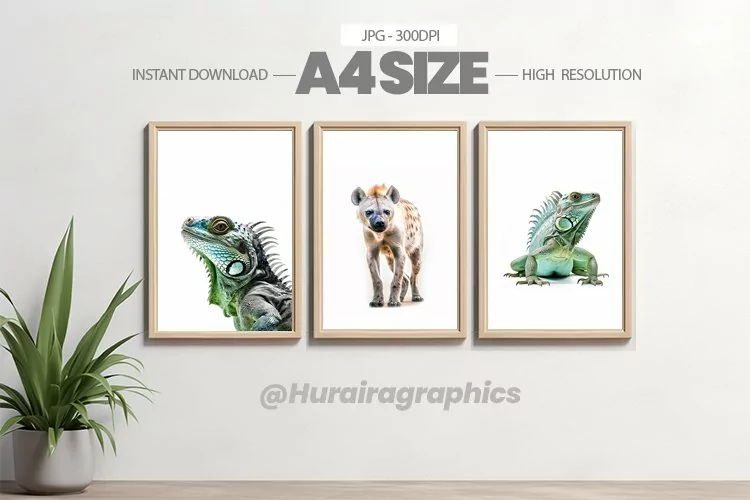 Animal Wall Art - 03 Variations