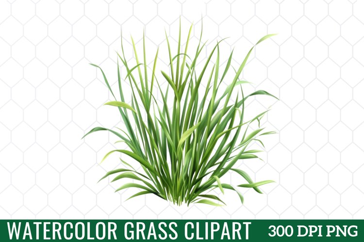 Grass Clipart Image 8