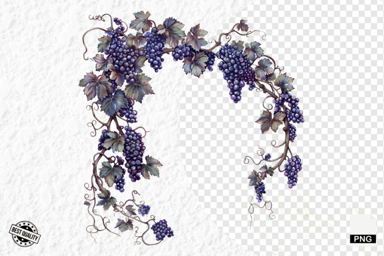 Grape Vine Clipart Image 24