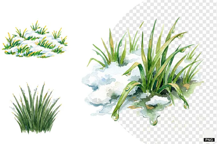Winter Snowy Grass Clipart
