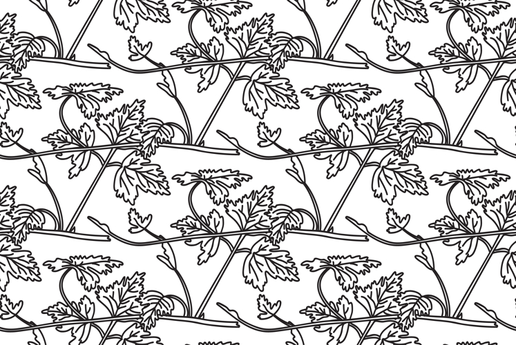 Line art seamless pattern with botanical grapevine vector