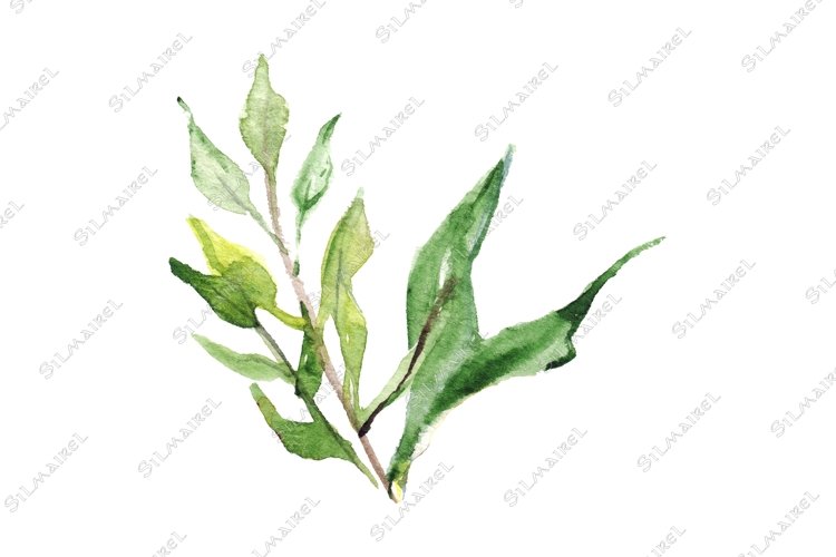 Spring Illustration Image 15