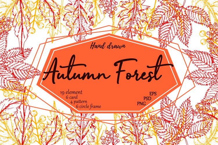 Leaf Vector Image 17