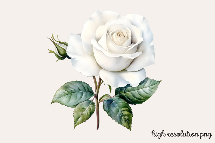 Boho SVG Image 21