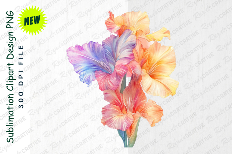 Colorful Clipart Image 20