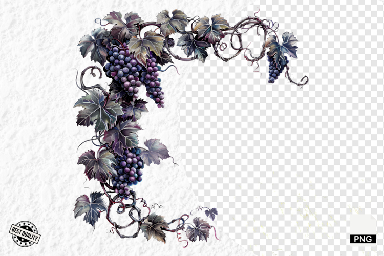 Grape Vine Clipart Image 16