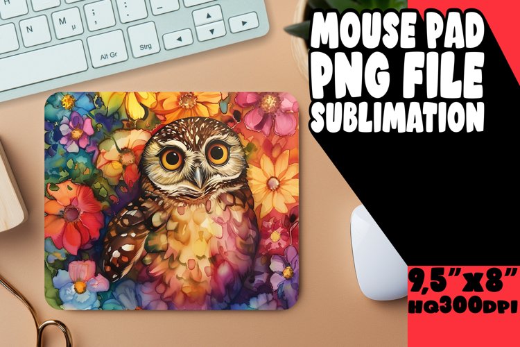 Owl Clipart Image 5
