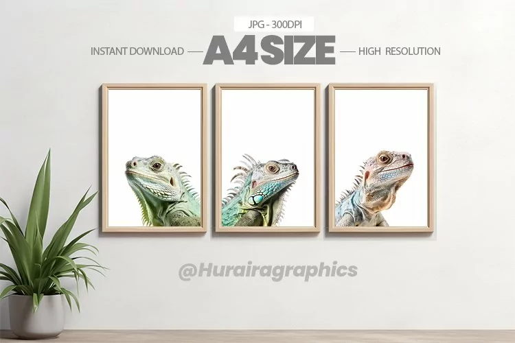 Animal Wall Art - 03 Variations