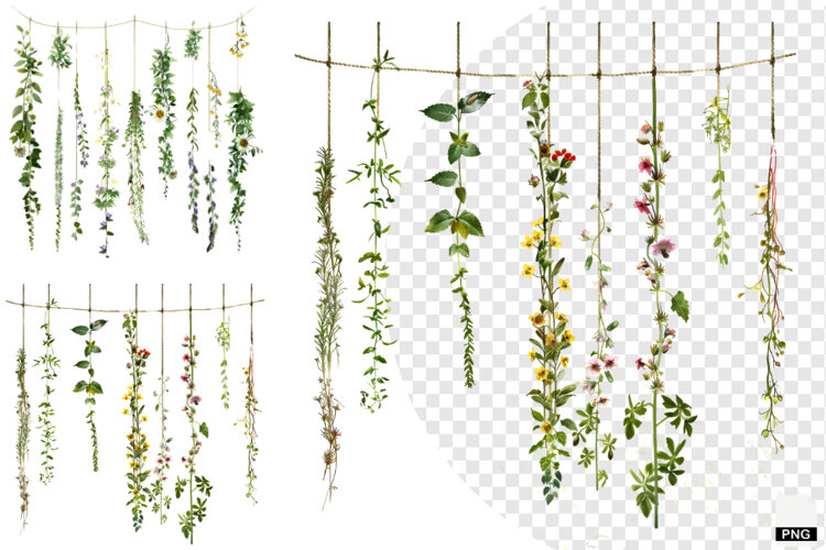 Rustic Hanging Wildflower String Clipart example image 1