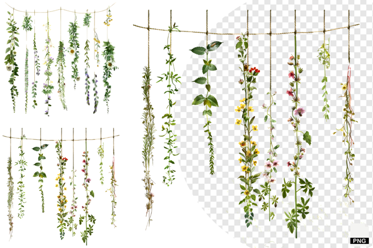 Rustic Hanging Wildflower String Clipart