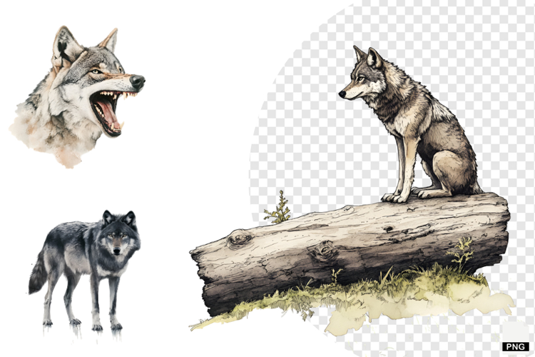 Winter Gray Wolves Clipart