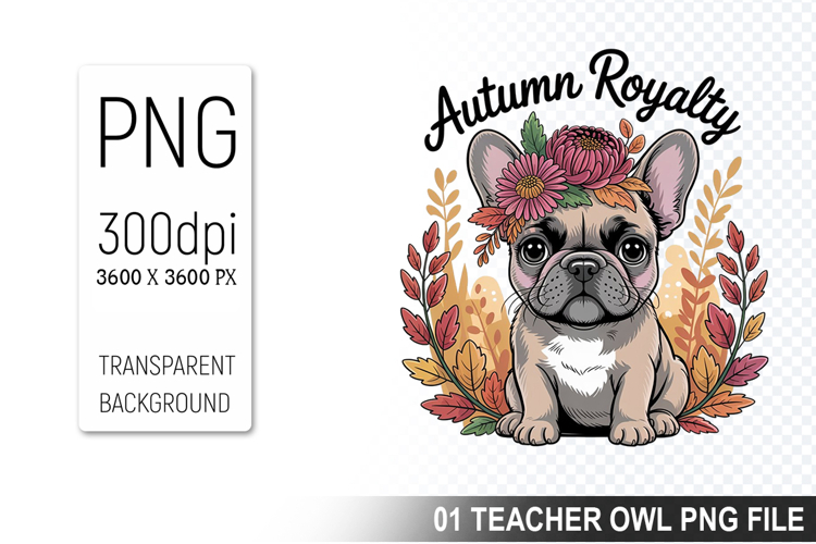 Pet Illustration Image 21