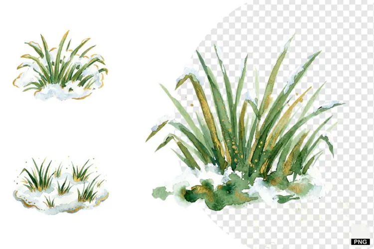 Winter Snowy Grass Clipart