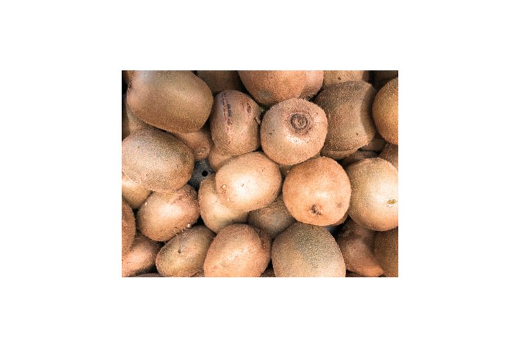Kiwi Clipart Image 4