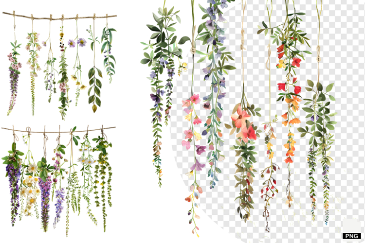 Rustic Hanging Wildflower String Clipart