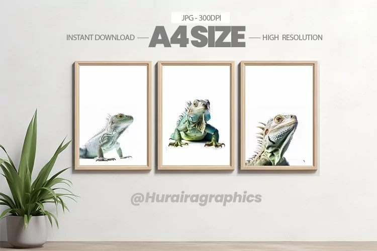 Animal Wall Art - 03 Variations