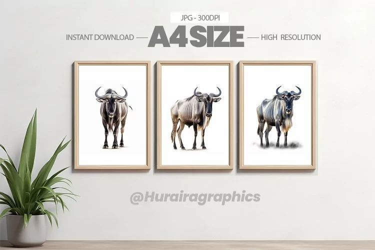 Animal Wall Art - 03 Variations
