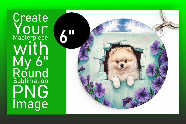 Circle Png Image 16